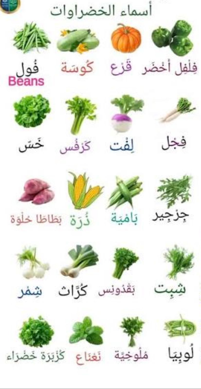 أسماء الخضراوات