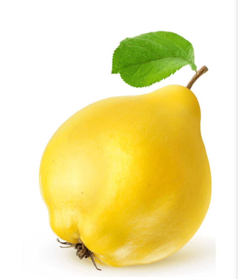 سفرجل